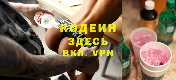 ГАЛЛЮЦИНОГЕННЫЕ ГРИБЫ Гусь-Хрустальный