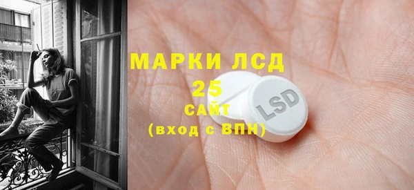 ГАЛЛЮЦИНОГЕННЫЕ ГРИБЫ Гусь-Хрустальный