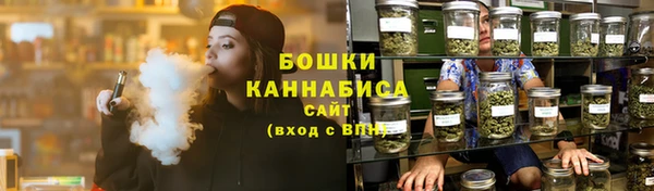 ГАЛЛЮЦИНОГЕННЫЕ ГРИБЫ Гусь-Хрустальный