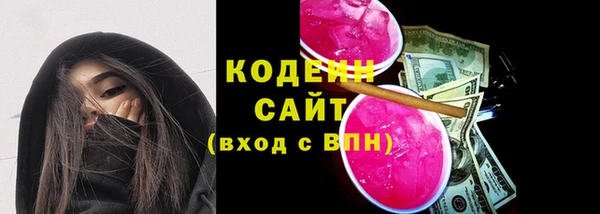 ГАЛЛЮЦИНОГЕННЫЕ ГРИБЫ Гусь-Хрустальный