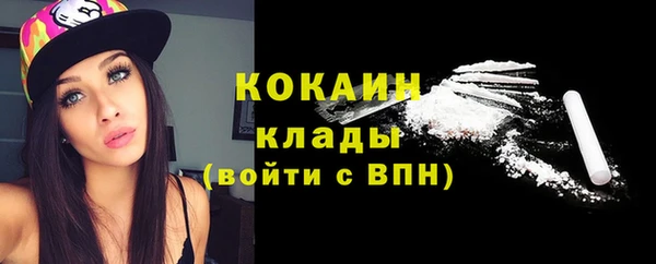 ГАЛЛЮЦИНОГЕННЫЕ ГРИБЫ Гусь-Хрустальный