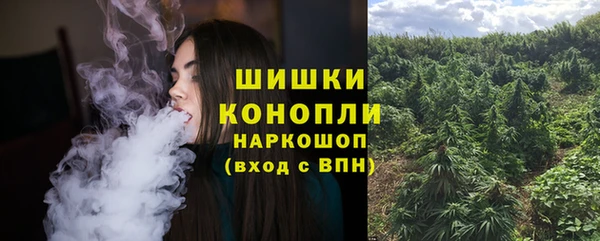 ГАЛЛЮЦИНОГЕННЫЕ ГРИБЫ Гусь-Хрустальный