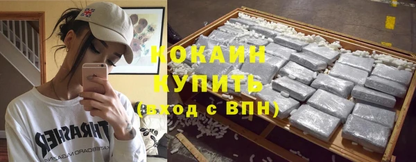 ГАЛЛЮЦИНОГЕННЫЕ ГРИБЫ Гусь-Хрустальный