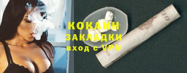 ГАЛЛЮЦИНОГЕННЫЕ ГРИБЫ Гусь-Хрустальный