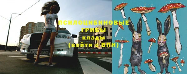 ГАЛЛЮЦИНОГЕННЫЕ ГРИБЫ Гусь-Хрустальный
