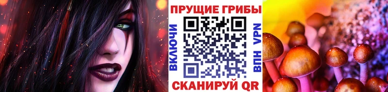 Галлюциногенные грибы Cubensis Купить Иноземцево